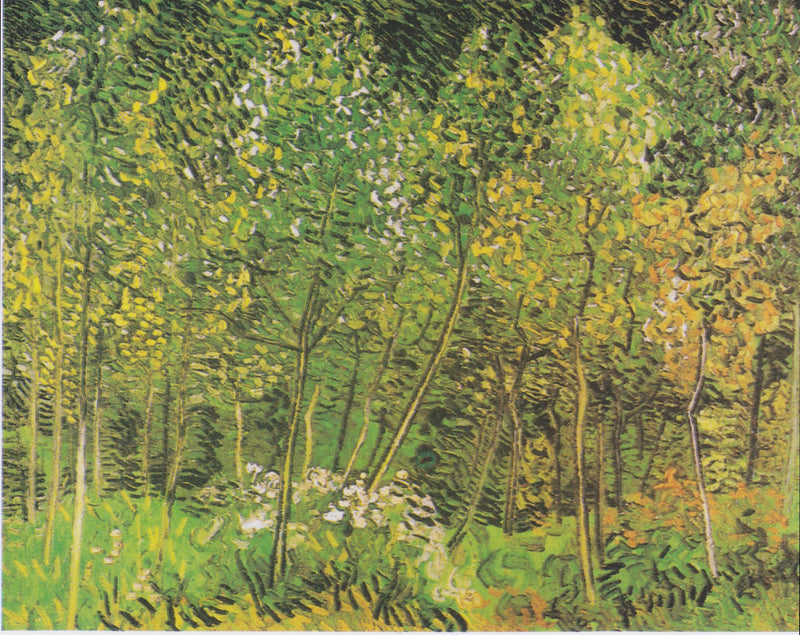 Le Bosquet – Vincent van Gogh