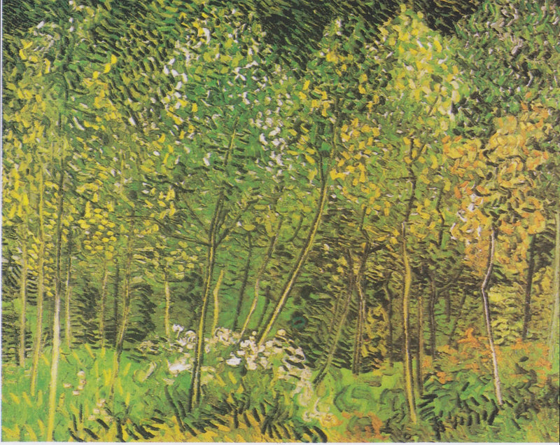 Le Bosquet - Vincent van Gogh