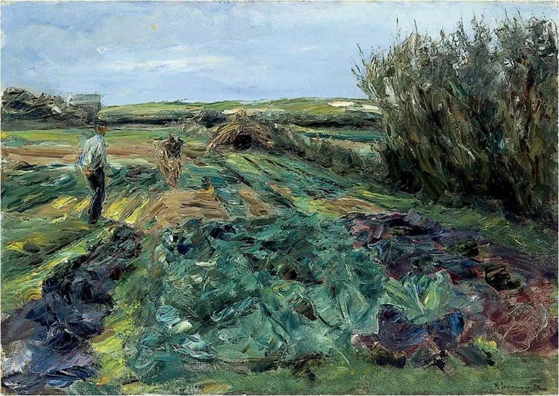 Le champ de choux (champ de choux à Noordwijk) - Max Liebermann
