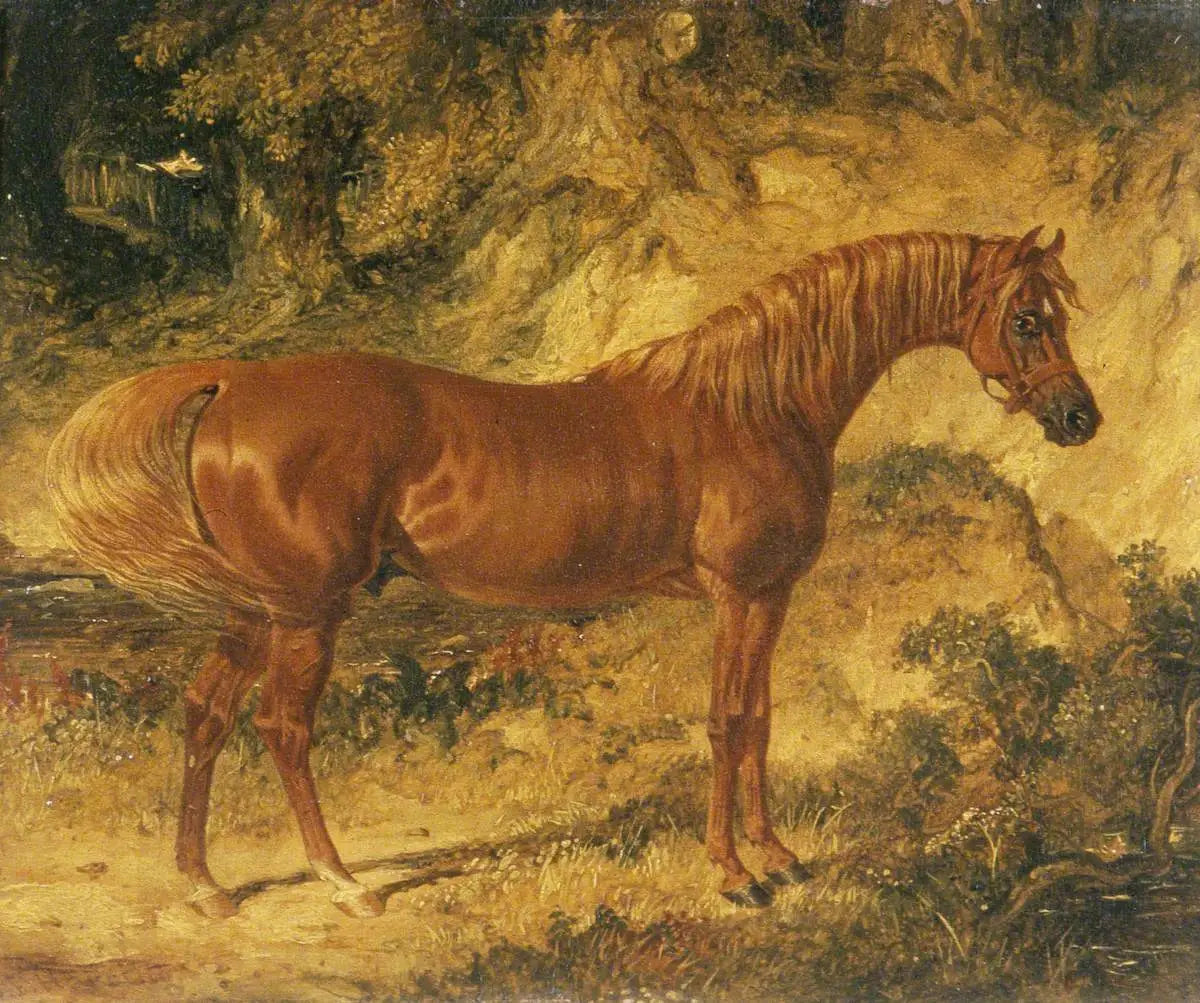 Le cheval de course « Actéon » - John Frederick Herring, Sr. image 1 copie de tableau peinte à la main