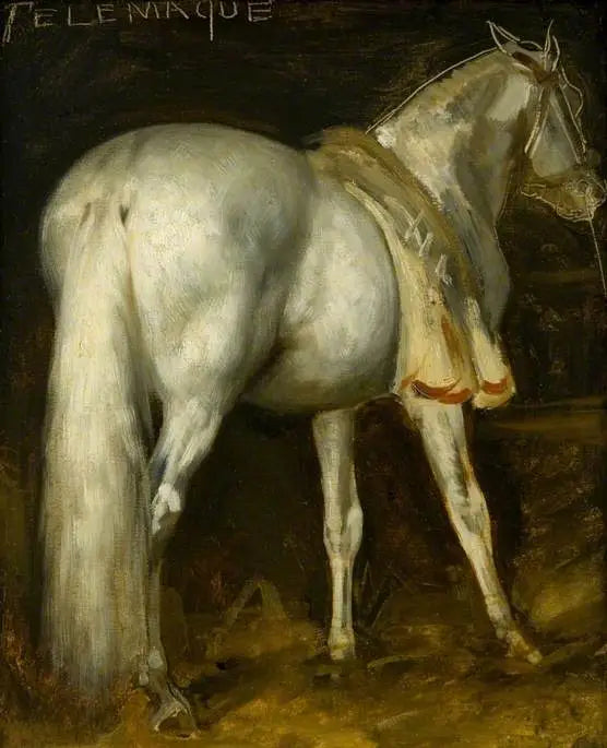 Le cheval gris « Télémaque » - Théodore Géricault