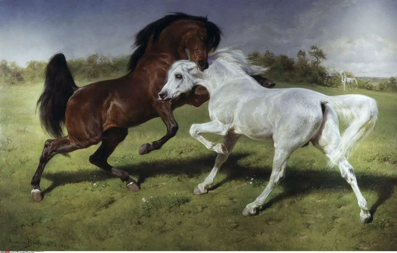 Le Duel - Rosa Bonheur