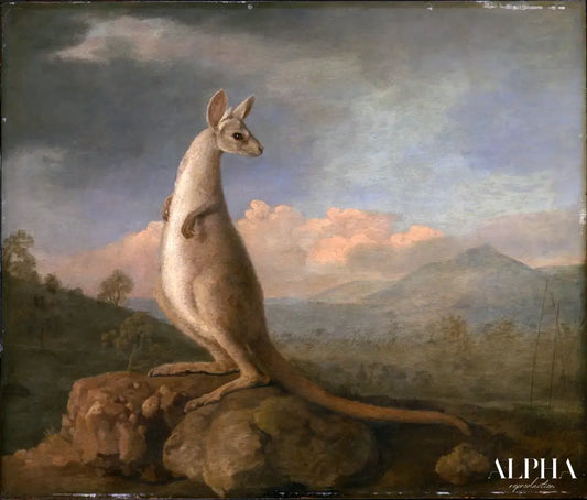 Le Kongouro de Nouvelle Hollande - George Stubbs - Reproductions de tableaux et peintures haut de gamme