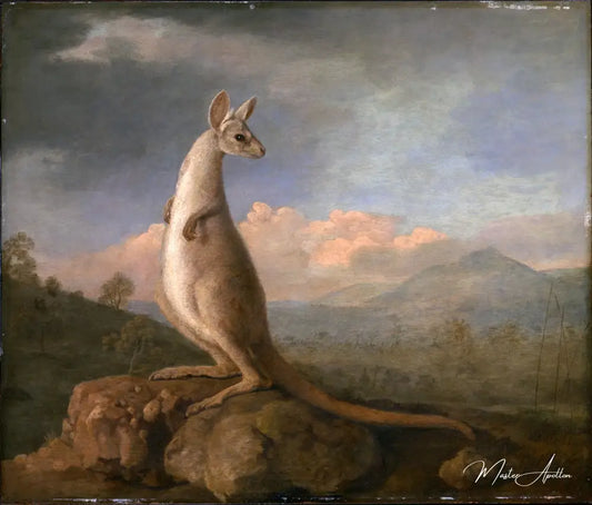 Le Kongouro de Nouvelle Hollande - George Stubbs - Reproductions de tableaux et peintures haut de gamme