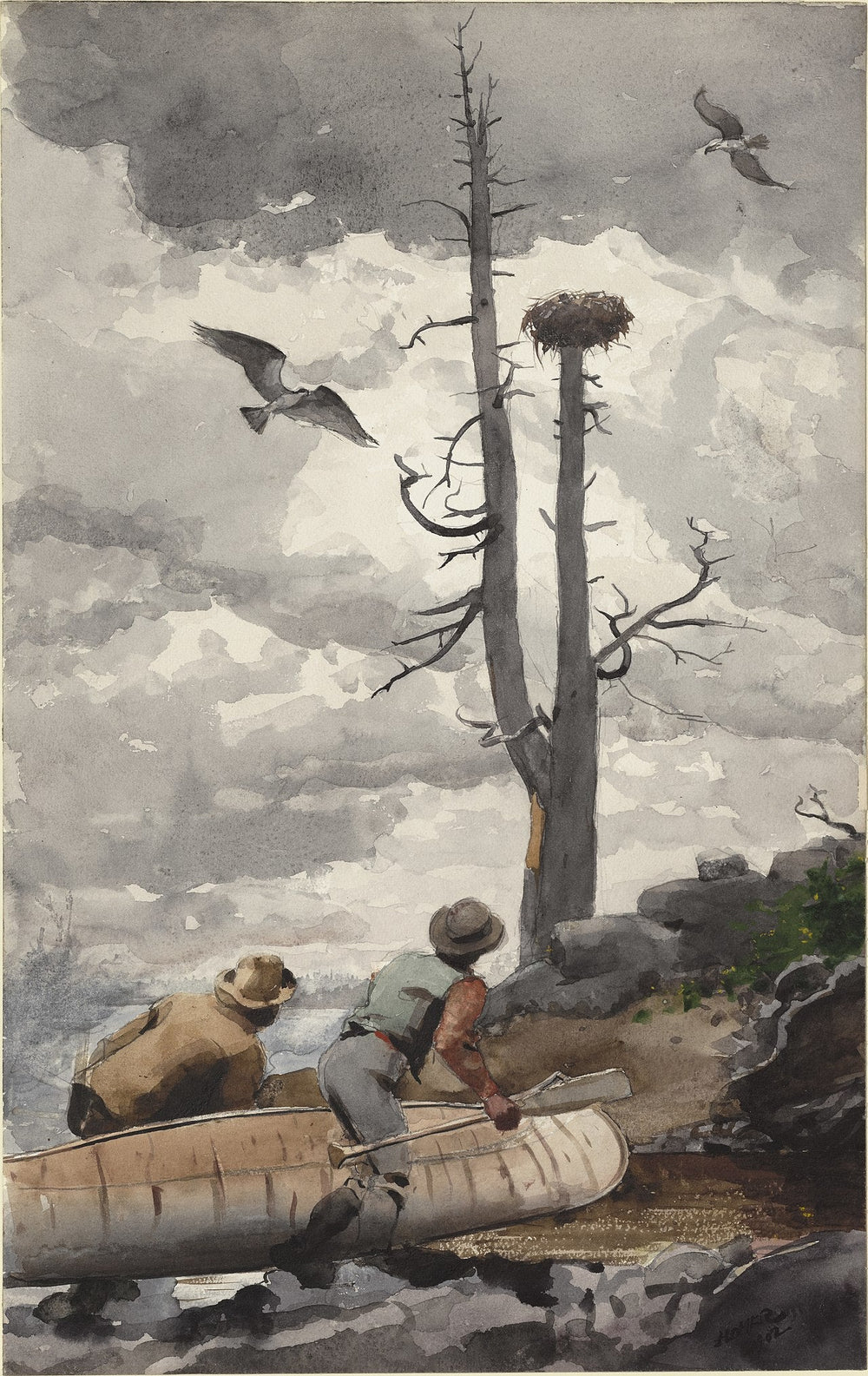 Le Nid d'Aigle - Winslow Homer