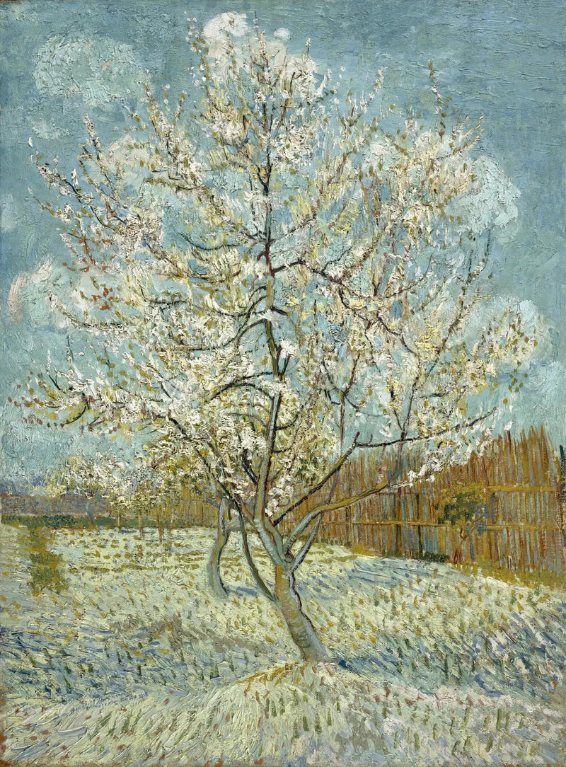Le pêcher rose - Vincent van Gogh