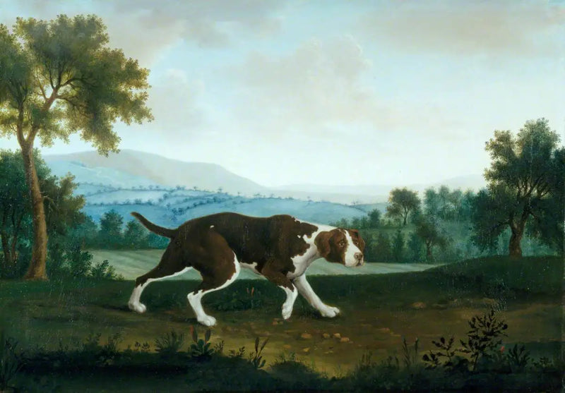 Le pointeur espagnol - George Stubbs