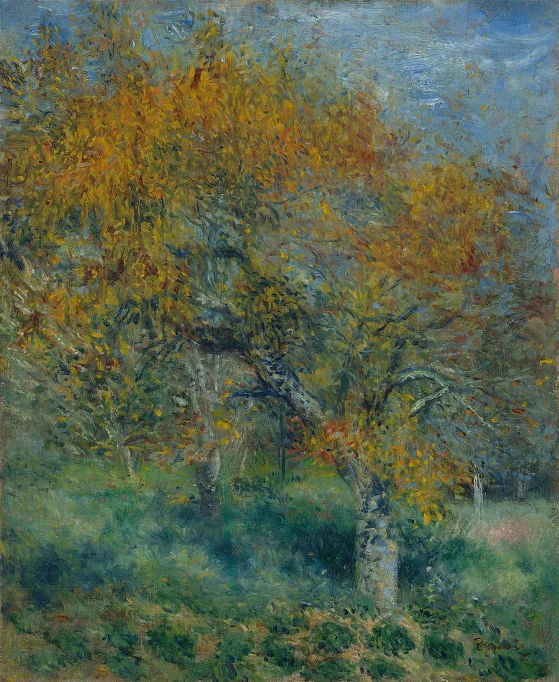 Le Poirier - Pierre-Auguste Renoir