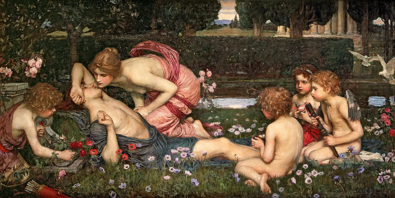 Le réveil d'Adonis - John William Waterhouse