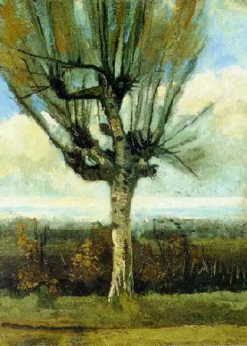 Le saule - Vincent van Gogh image 1 reproduction artisanale de tableau