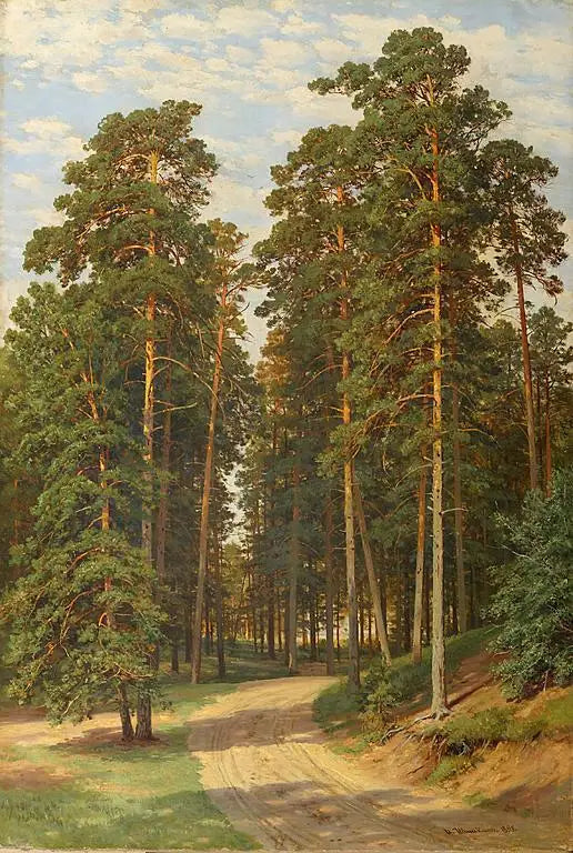 Le soleil dans la forêt - Ivan Chichkine