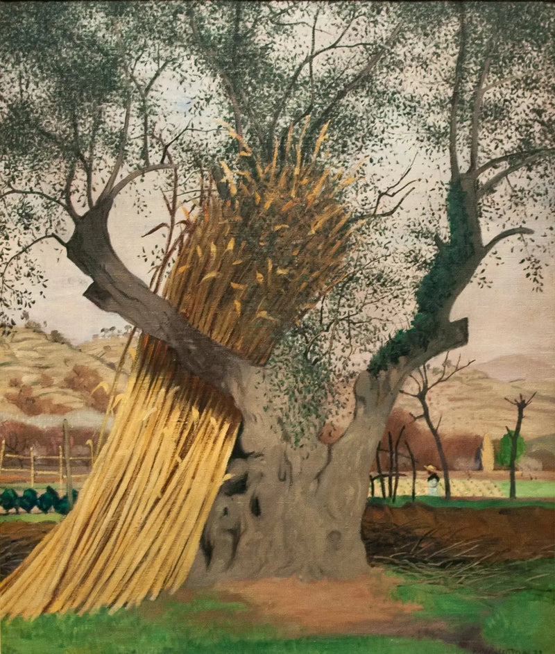 Le Vieil Olivier - Félix Vallotton