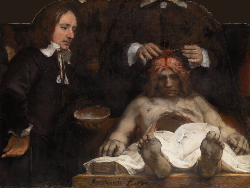 La Leçon d’anatomie du docteur Jan Deijman – Rembrandt