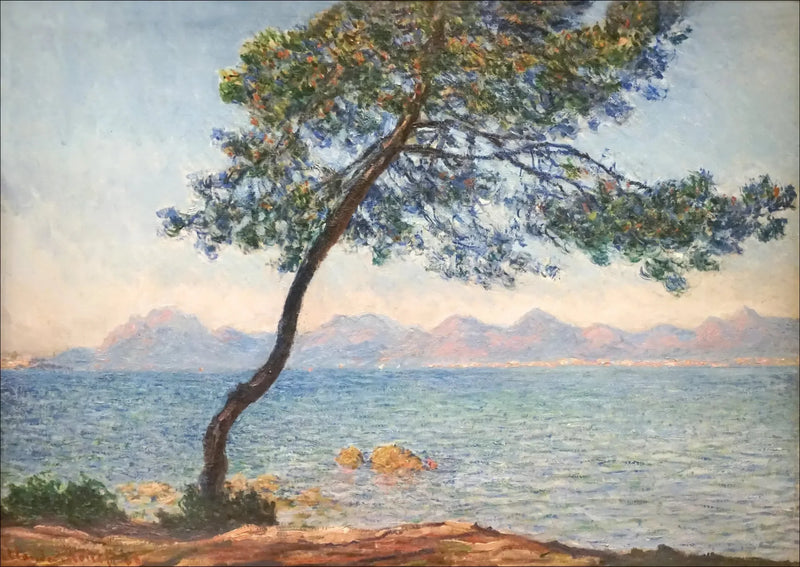Les antibactériens - Claude Monet