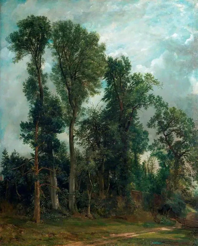Les arbres de Hampstead : le chemin vers l'église - John Constable image 1 reproduction de peinture à l’huile
