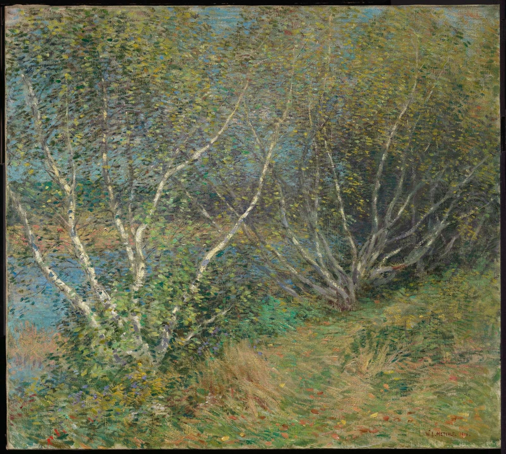 Les bouleaux - Willard Metcalf