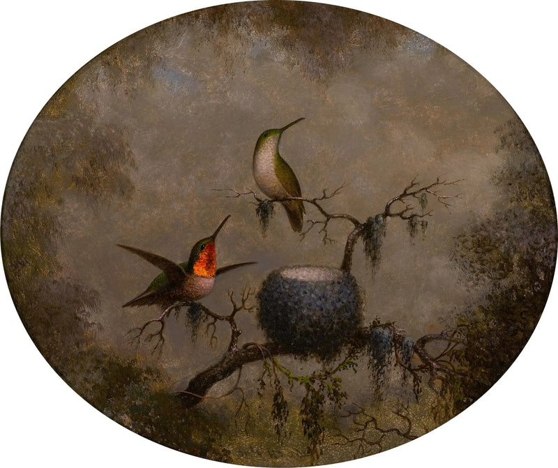 Les colibris et leur nid - Martin Johnson Heade