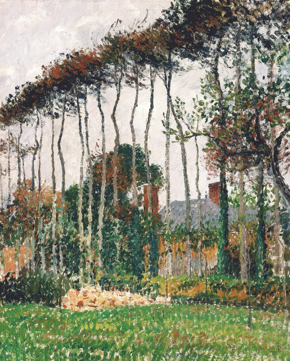 Les grands hêtres à Varengeville - Camille Pissarro image 1 reproduction réalisée par Alpha Reproduction