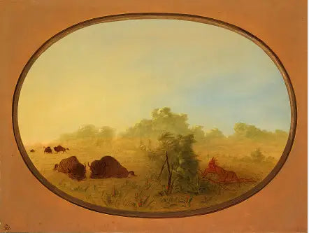 Les Indiens Pawnee s’approchent de Buffalo - George Catlin - Alpha Reproduction