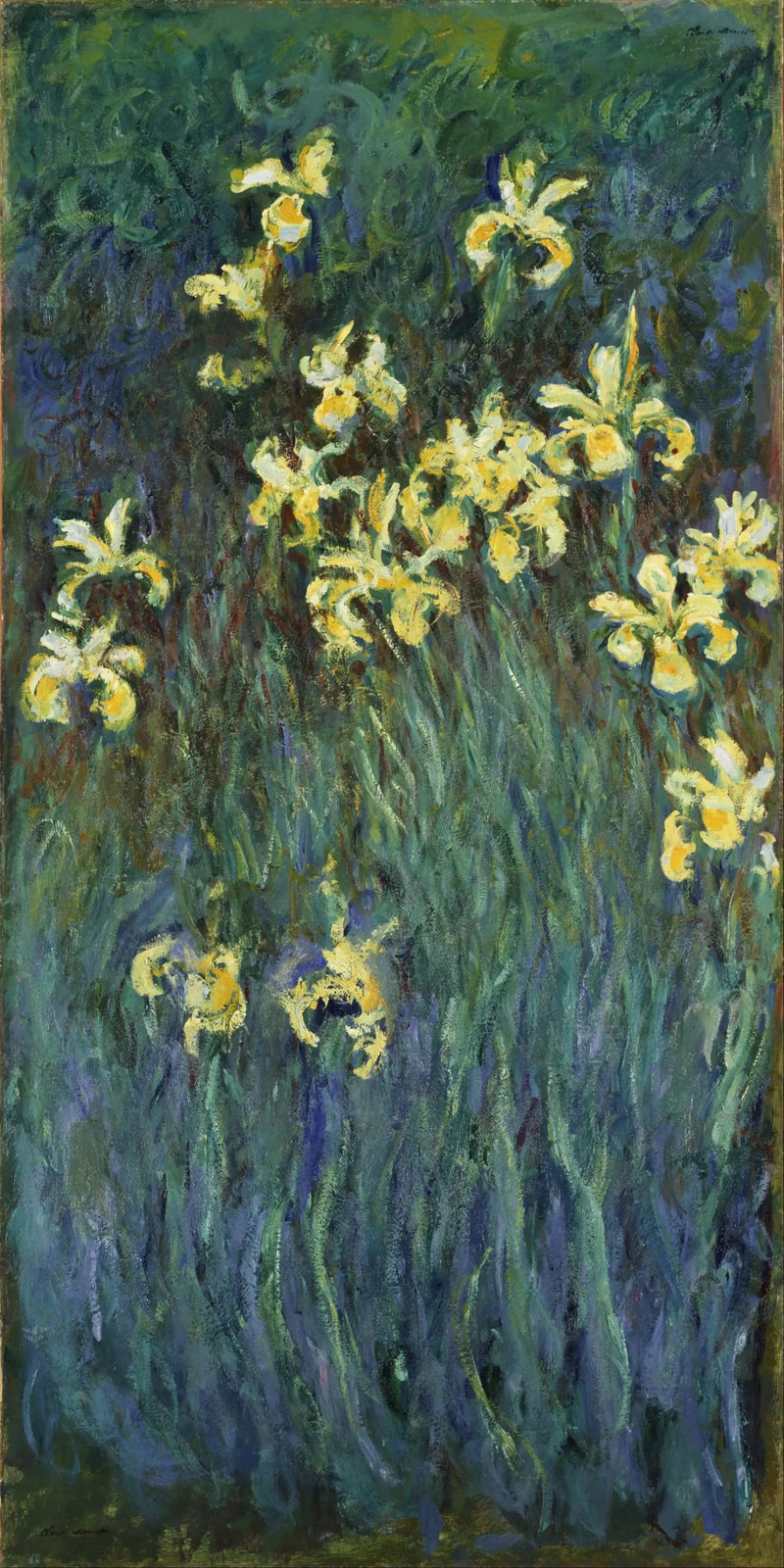 Les iris jaunes - Claude Monet
