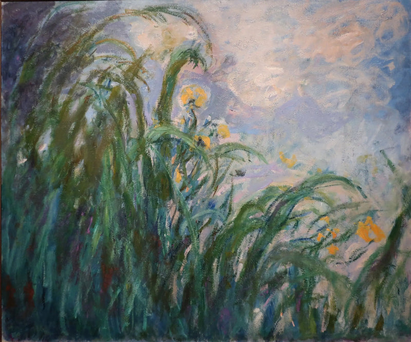 Les iris jaunes - Claude Monet