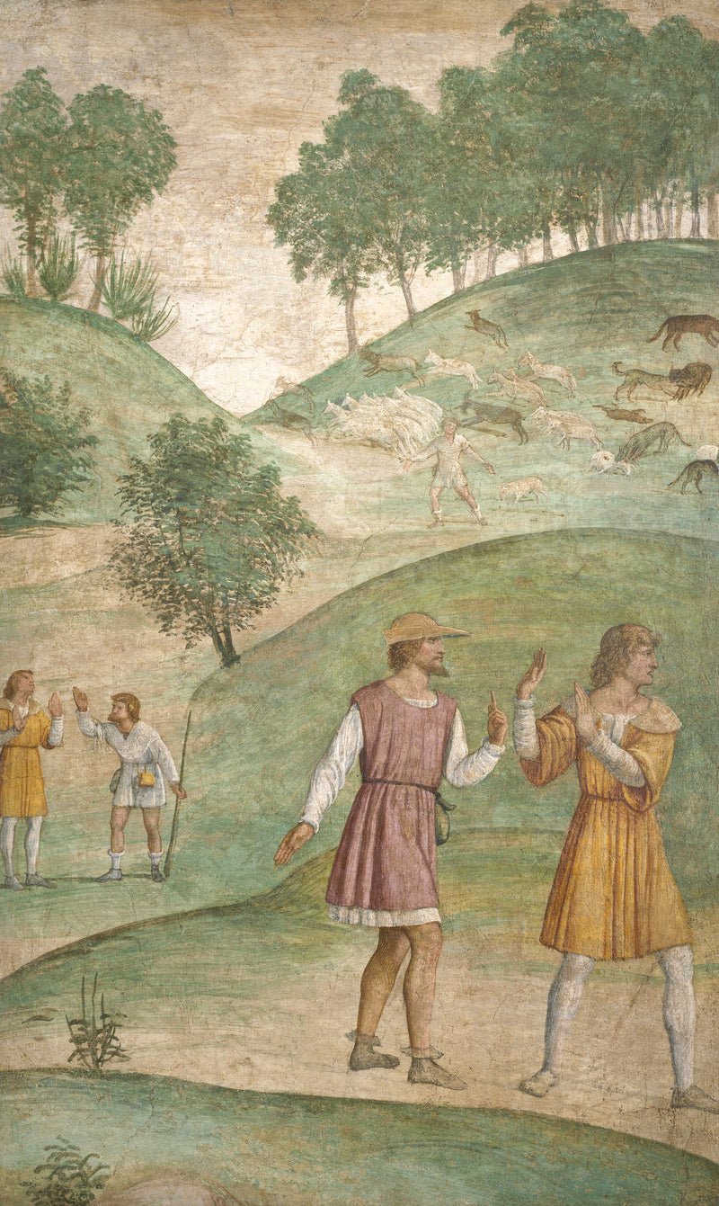 Les malheurs de Céphale - Bernardino Luini
