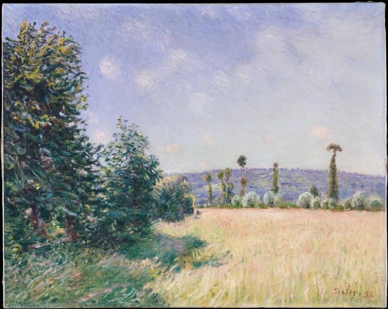 Les Prairies de Sahurs dans le soleil du matin - Alfred Sisley