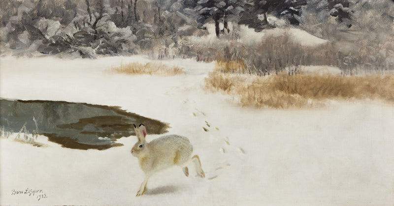 Lièvre dans un paysage hivernal - Bruno Liljefors