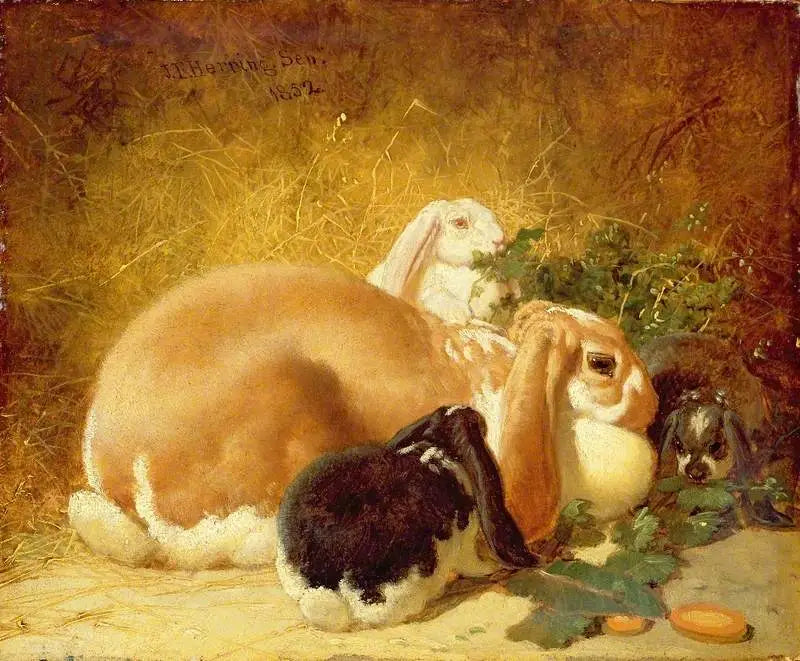 Lièvres belges - John Frederick Herring, Sr.