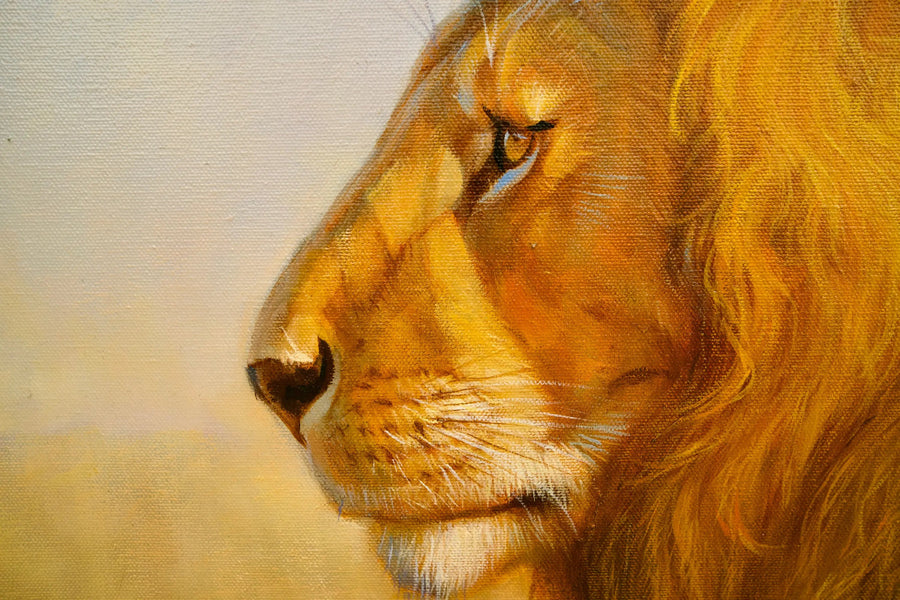 Lion dans la savane | 150 x 100 cm