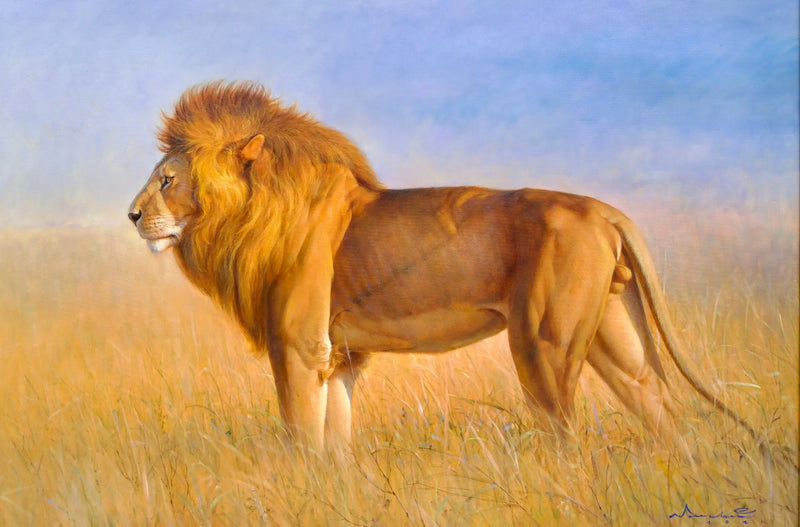 Lion dans la savane | 150 x 100 cm
