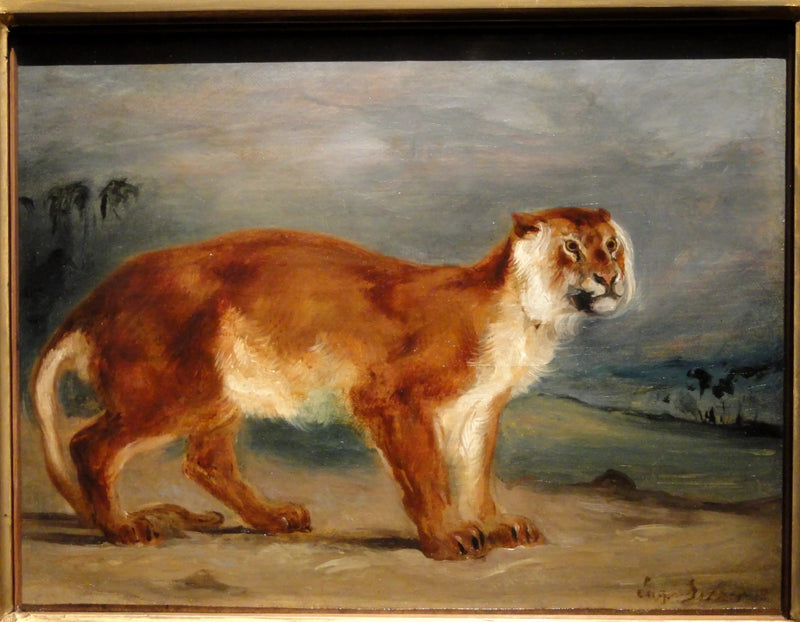 Lionne - Eugène Delacroix
