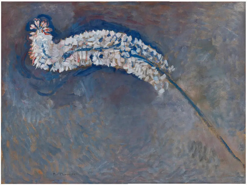 Lis queue de renard - Piet Mondrian