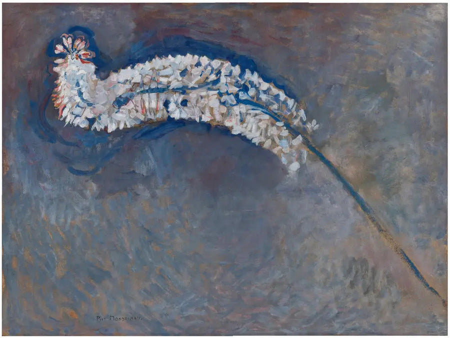 Lis queue de renard - Piet Mondrian