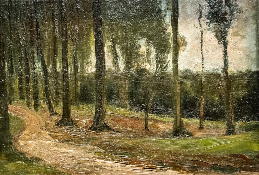 Lisière d’un bois, F192 – Vincent van Gogh