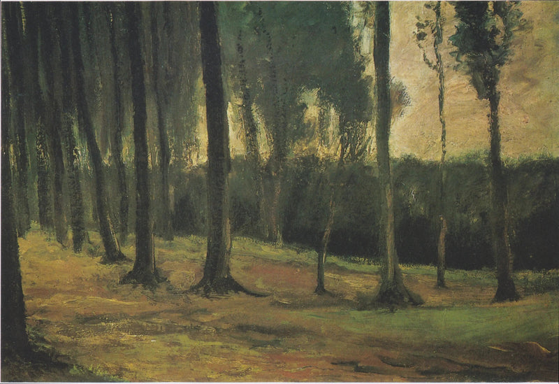lisière d'un bois - Vincent van Gogh