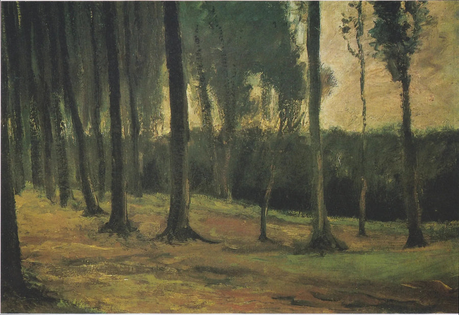lisière d'un bois - Vincent van Gogh