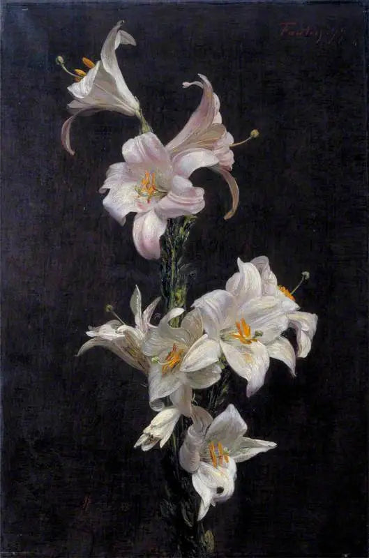 Lys blancs - Henri Fantin-Latour image 1 reproduction artisanale de tableau