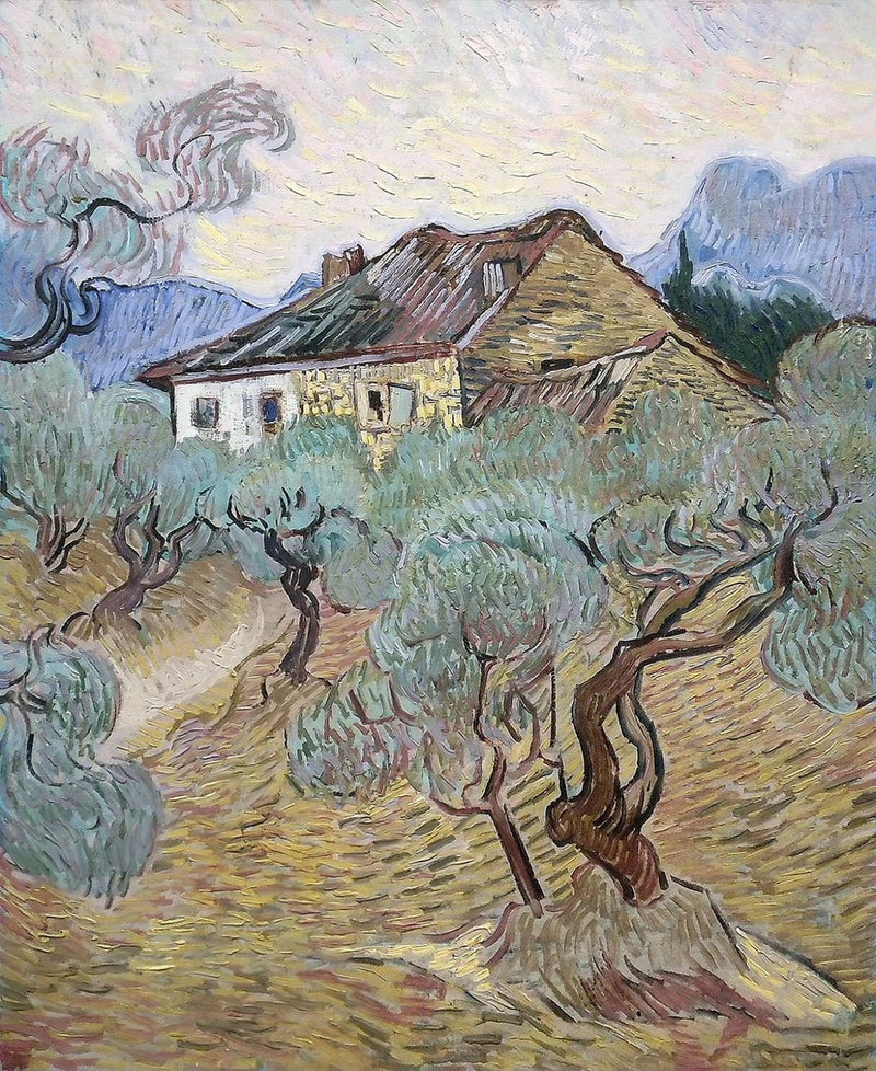 La Maison blanche parmi les oliviers – Vincent van Gogh