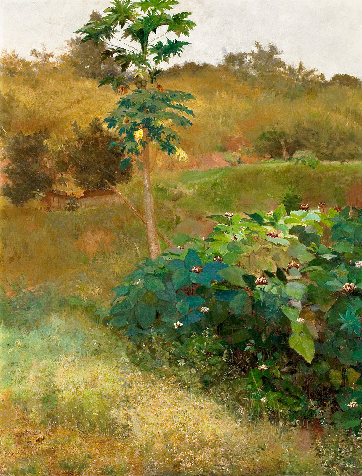 Mamoeiro - Eliseu Visconti image 1 copie de tableau peinte à la main