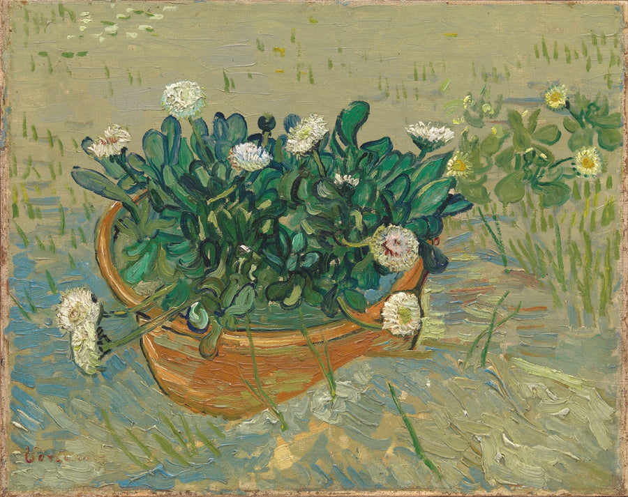 Marguerites, Arles, F591 – Van Gogh