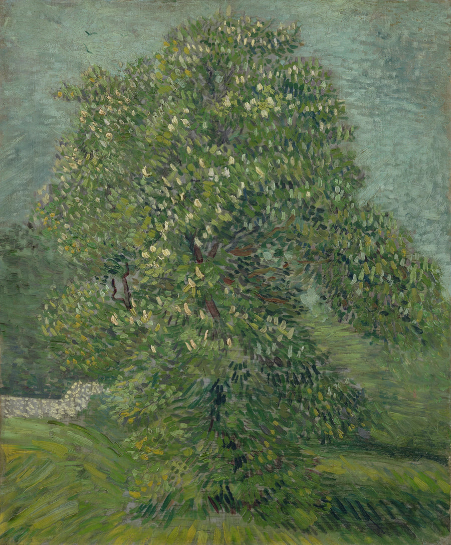 Marronnier d’Inde en fleurs, F270a – Van Gogh