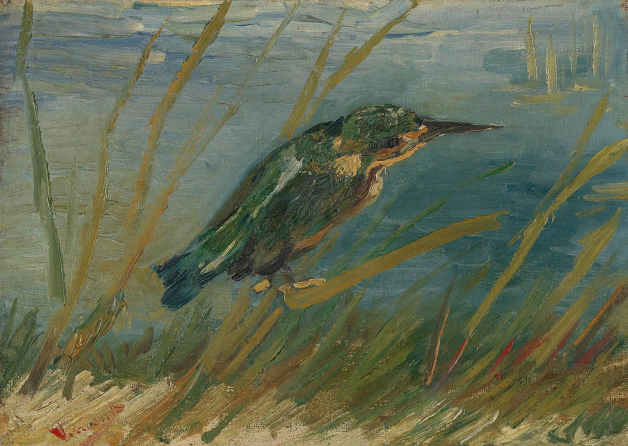 Martin-pêcheur au bord de l'eau - Vincent van Gogh