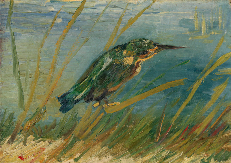 Martin-pêcheur au bord de l’eau, F28 – Van Gogh
