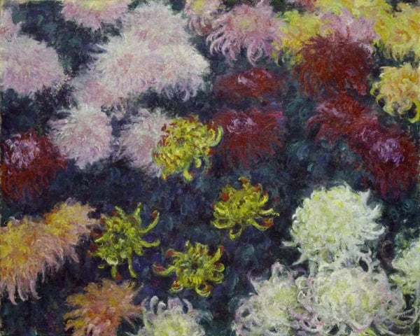 Massif de chrysanthèmes, Bâle W1496 – Claude Monet