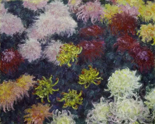 Massif de chrysanthèmes - Claude Monet