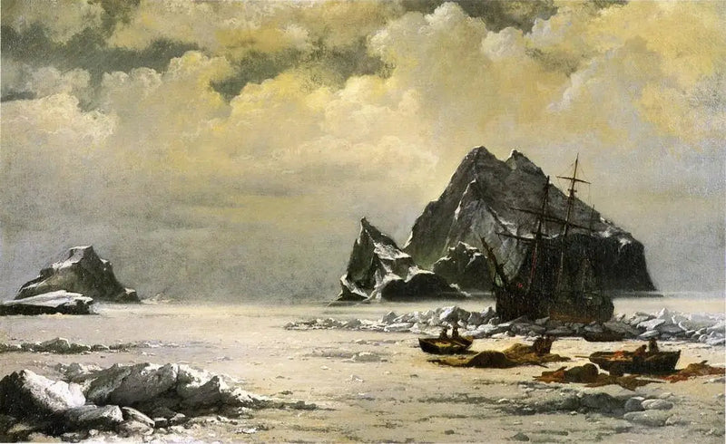 Matin dans les champs de glace de l'Arctique - William Bradford