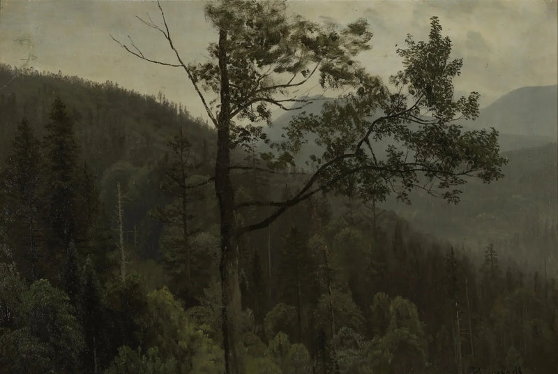 Montagnes couvertes d'arbres - Albert Bierstadt