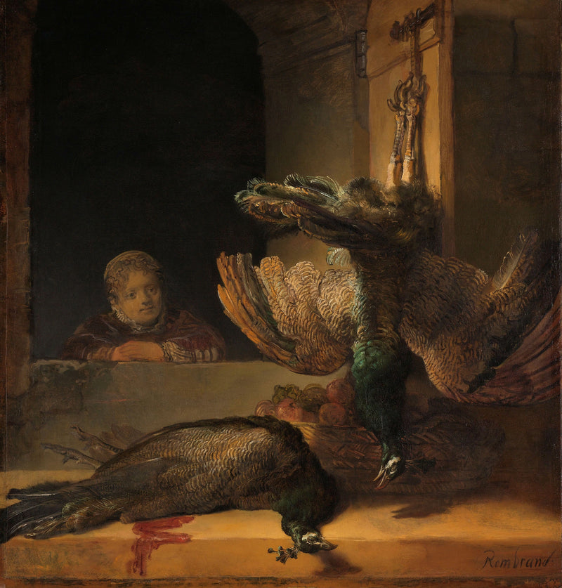 Nature morte aux paons – Rembrandt, vers 1639