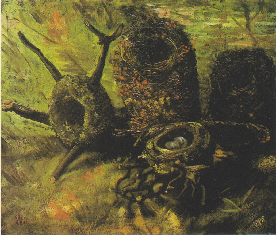nids d'oiseaux - Vincent van Gogh